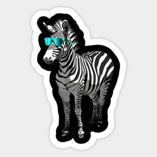 Zebra Awareness Campaigns Sticker